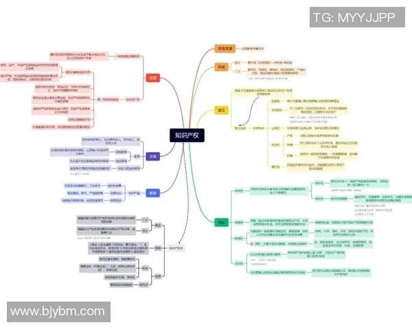 知识产权保护：解析权益、法律及实践