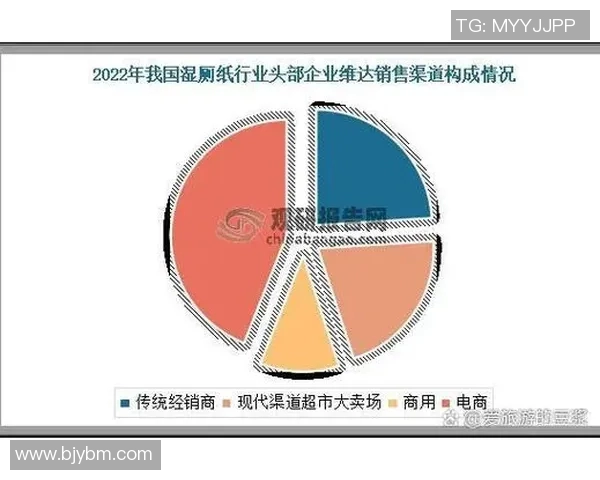 上海羽毛球队在阵地战中的优势与不足分析